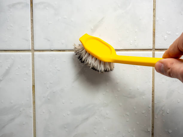 Best Preventive Mold Services in Fulton, MS